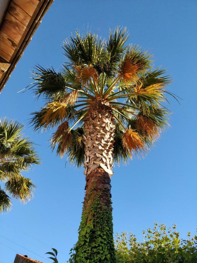 La Palmeraie Marsella Exterior foto